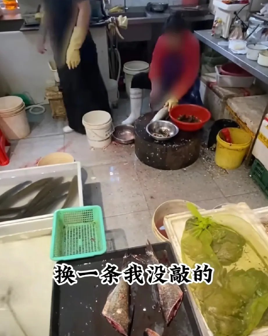知道荒木懂摇滚乐，但没想到他这么懂？的简单介绍